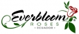 everbloom roses